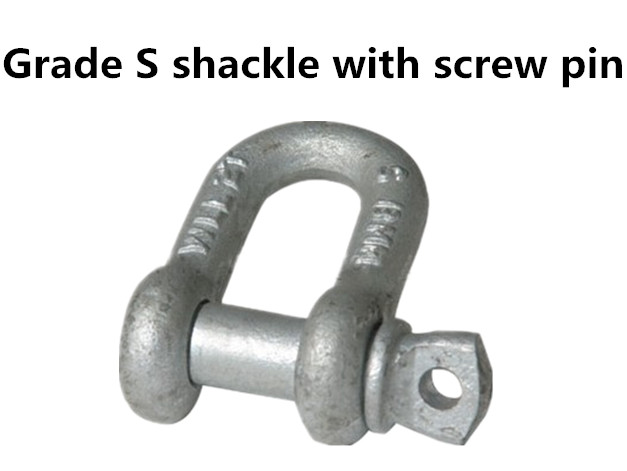 Grade S screw pin Dee shackle